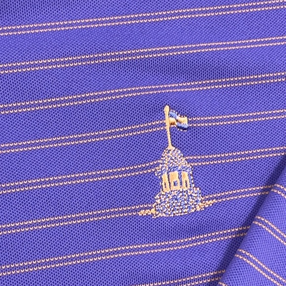 Peter Millar Polo Shirt Men XL Purple Striped Summer Comfort Crown Performance - Picture 4 of 10